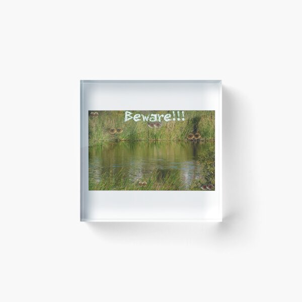 Item preview, Beware the eyes of marsh designed and sold by MChabalaRussell.