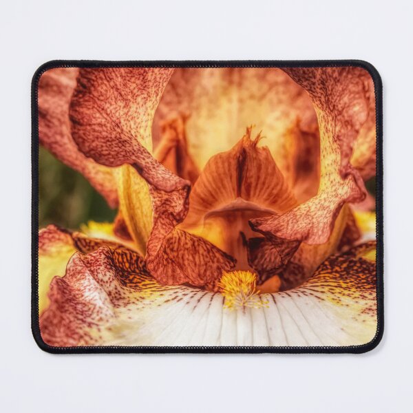 Item preview, Iris Intricacy designed and sold by Jim Love.