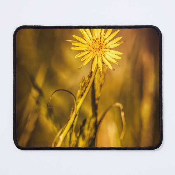 Item preview, Beauty Along The Road designed and sold by Jim Love.