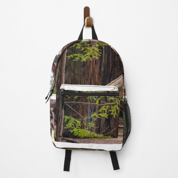 Item preview, Redwoods Forest National Park print designed and sold by coylechase.