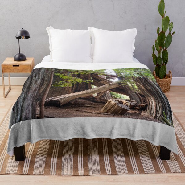 Item preview, Redwoods Forest National Park print designed and sold by coylechase.