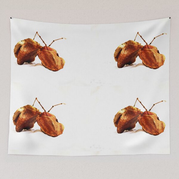 Item preview, Seed Pods Still Life designed and sold by Evita.