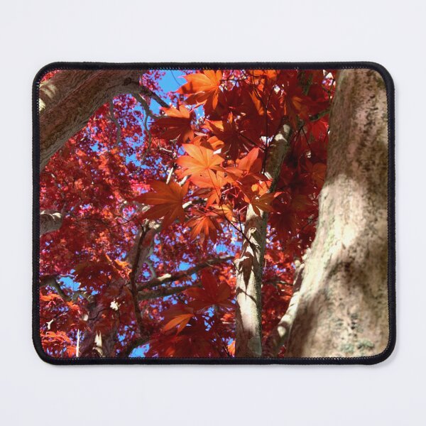 Item preview, Red Maple 4 designed and sold by CreenKreative.