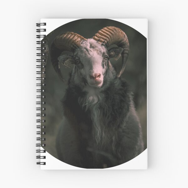 Item preview, nyaphomet Goat designed and sold by dineshshop1.