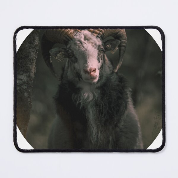 Item preview, nyaphomet Goat designed and sold by dineshshop1.