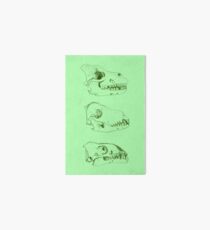 Canid Skulls III Art Board