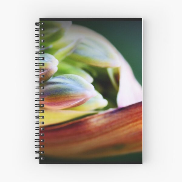 Item preview, Agapanthus Emerging designed and sold by Evita.