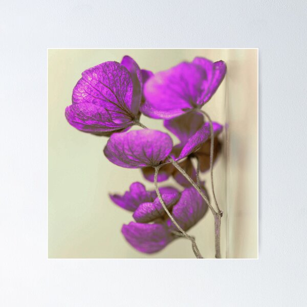 Item preview, artistic painting, fantastic works of art, beautiful plant designed and sold by Tiziza.