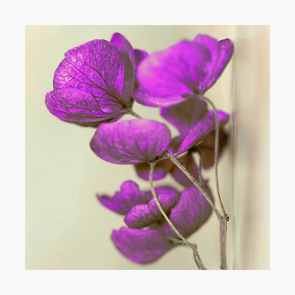 Item preview, artistic painting, fantastic works of art, beautiful plant designed and sold by Tiziza.