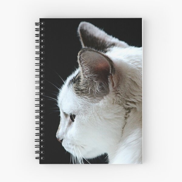 Item preview, Happy Birthday Mr Stampy designed and sold by Ladymoose.