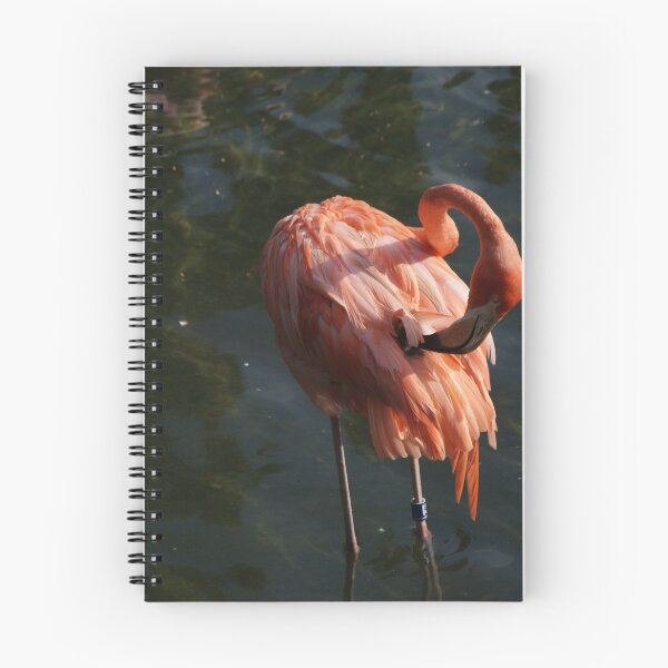 Item preview, Caribbean Flamingo designed and sold by Monika's Shop.