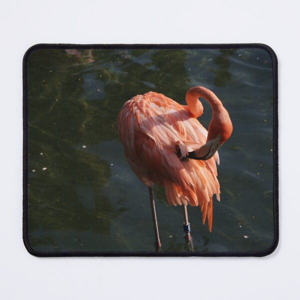 Item preview, Caribbean Flamingo designed and sold by Monika's Shop.