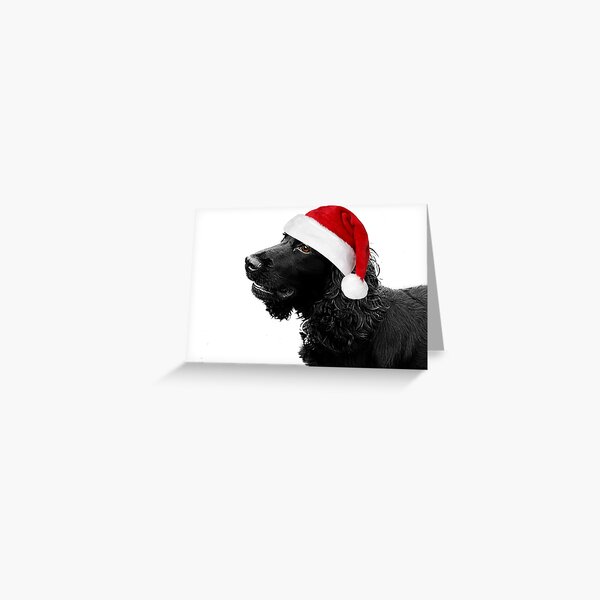 Merry Christmas Cocker Greeting Card