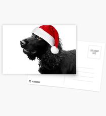 Merry Christmas Cocker Postcards