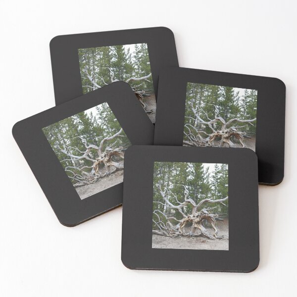 Item preview, Yellowstone National Park Essential T-Shirt Copy Copy Copy Copy Copy Copy Copy Copy Copy Copy Copy Copy C designed and sold by hornakdscov.