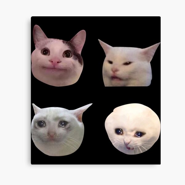 Meme Cats Canvas Prints for Sale