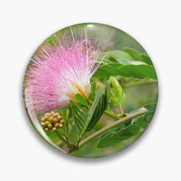 Item preview, Pink Powder Puff Flower designed and sold by Monika's Shop.