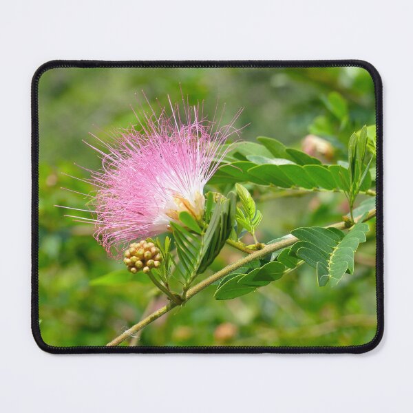 Item preview, Pink Powder Puff Flower designed and sold by Monika's Shop.