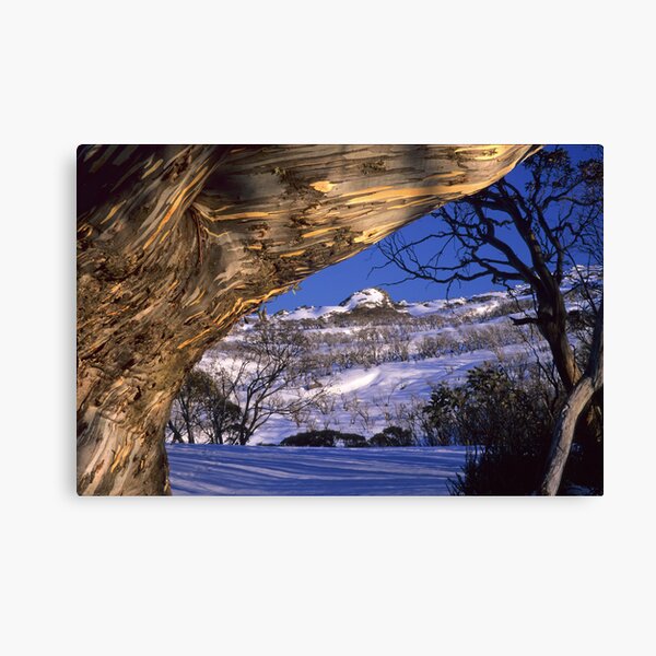 Ramshead Morn Canvas Print