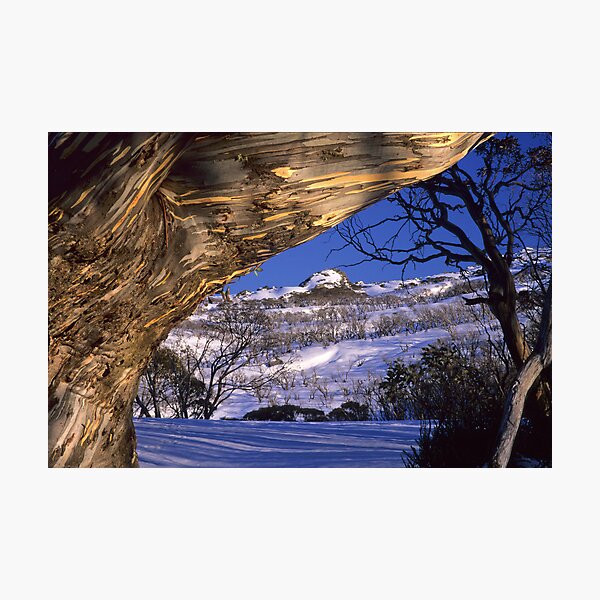 Ramshead Morn Photographic Print