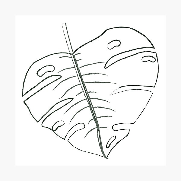 Item preview, Monstera designed and sold by CiaravinoStudio.
