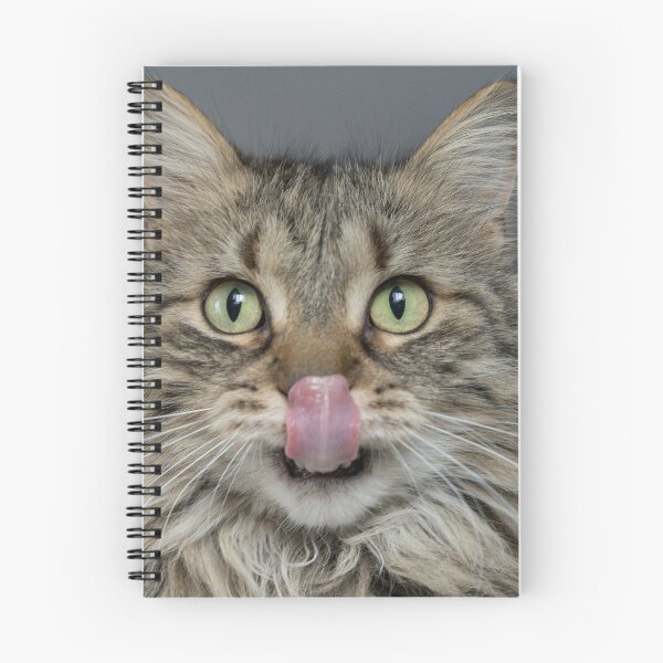 Item preview, Angry Cat designed and sold by Designo-rama.