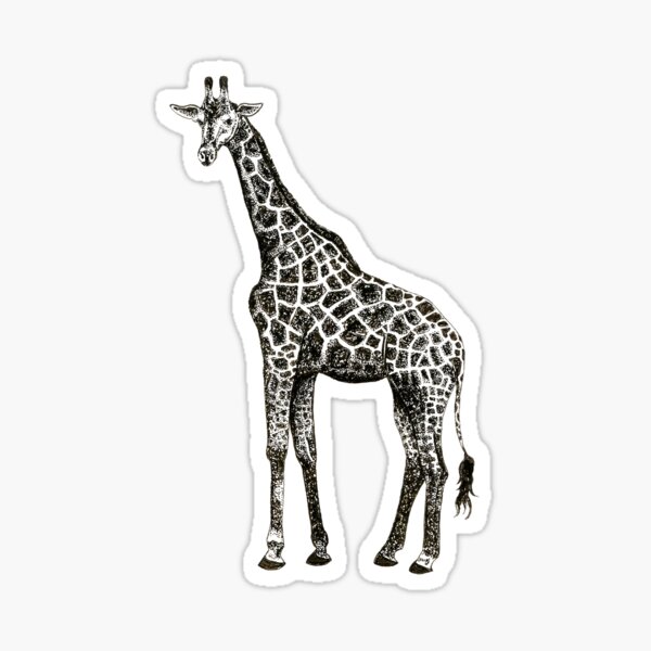 Giraffe Sticker