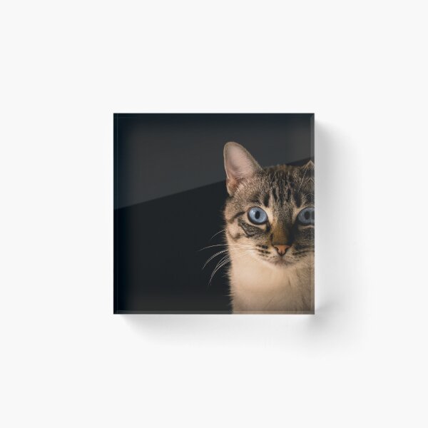 Item preview, Cute Kitty designed and sold by Designo-rama.