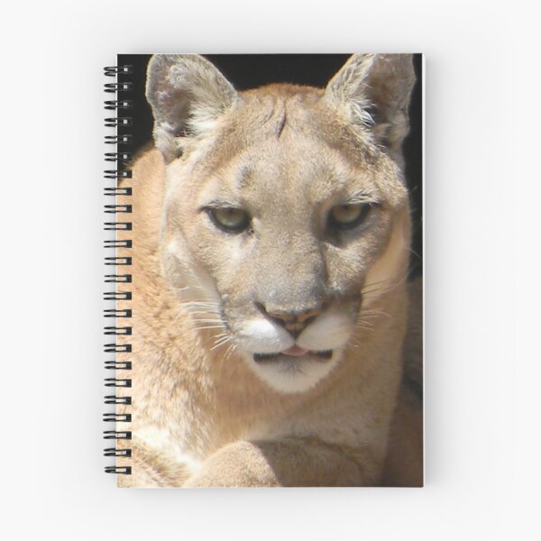 Item preview, Mountain Lion Face designed and sold by Kathleen Brant.