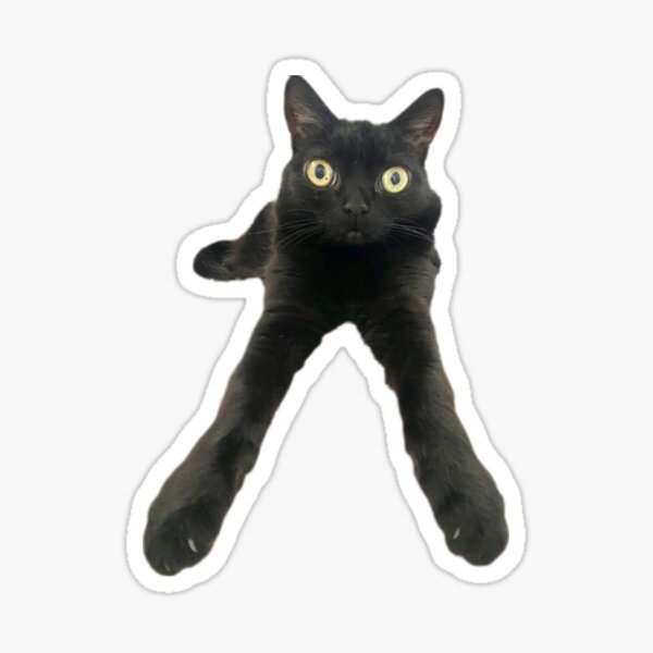 Vista previa del artículo con la obra «gato con mala suerte», diseñado y vendido por DKMarcaz.