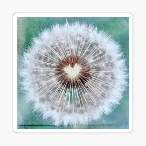 Dandy Heart Sticker