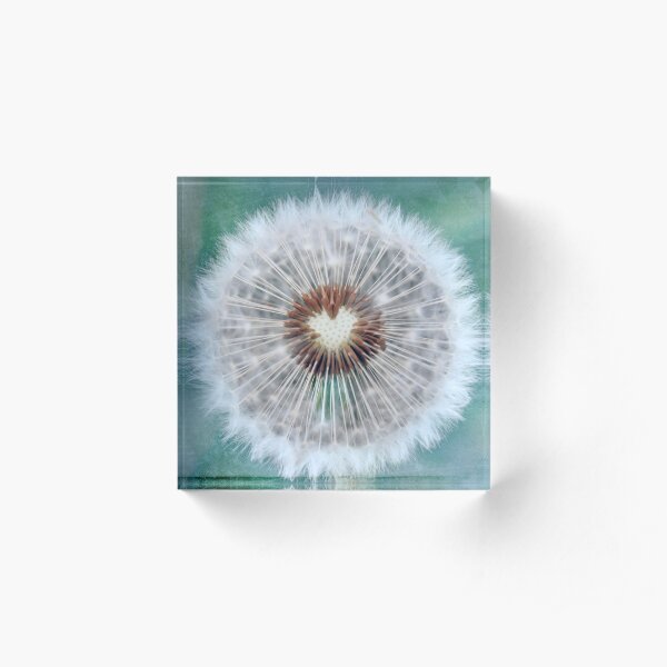 Dandy Heart Acrylic Block