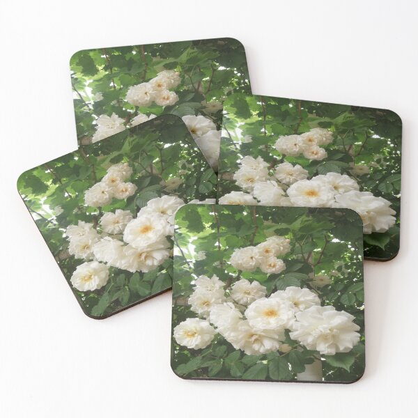 Item preview, White flowers designed and sold by Zukhra79.