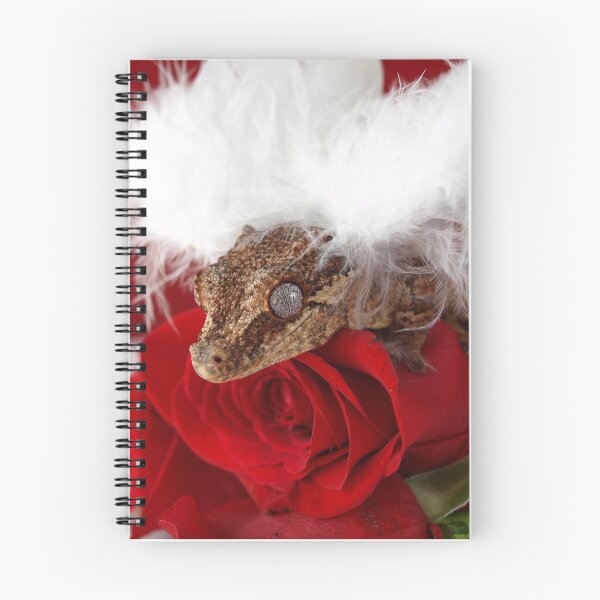 Item preview, Winged Gargoyle Gecko Valentine Angel designed and sold by Duelism.
