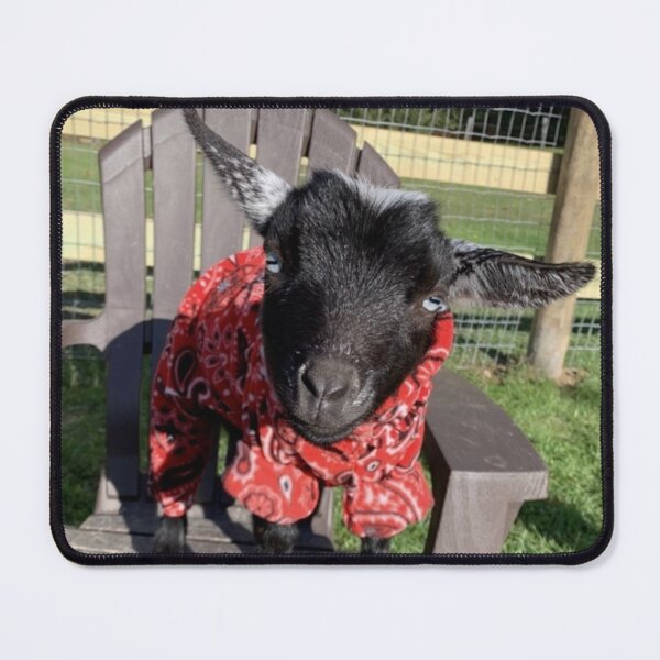 Item preview, Relaxing goat/yoga/goats designed and sold by expressiveprint.