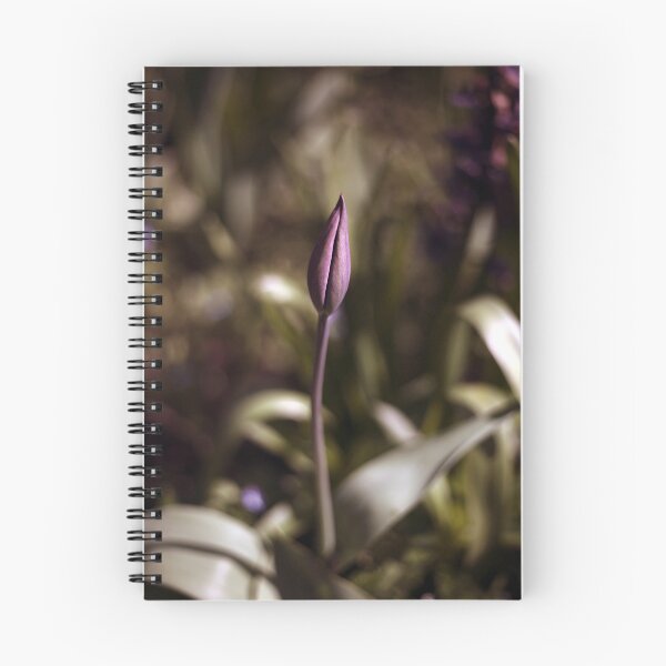 Item preview, Single Tulip designed and sold by Philip Butler.