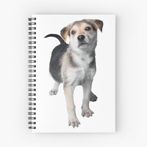 Item preview, Adoptable Puppy Weevil designed and sold by Sarah Matula Photography.