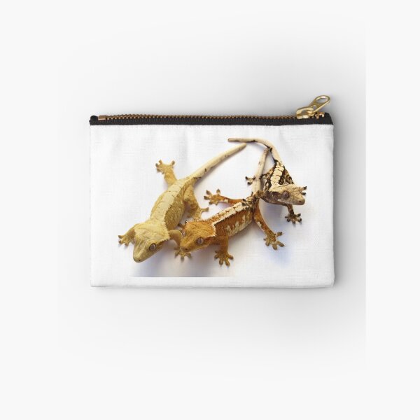 Item preview, Siblings - Rainbow of Crested Geckos  designed and sold by Duelism.