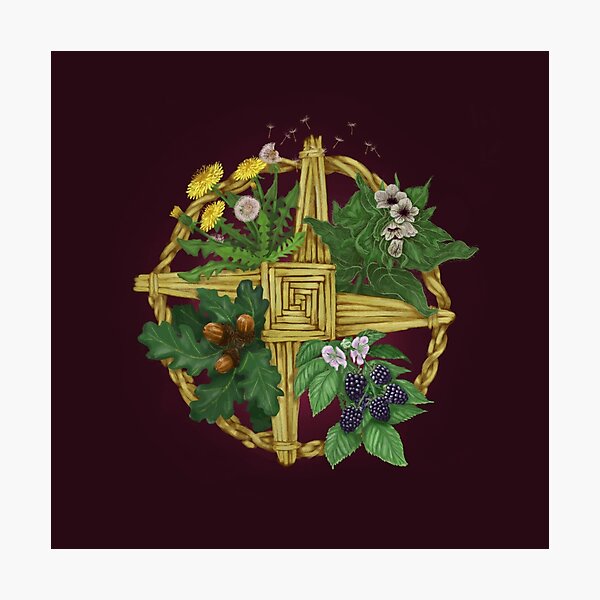 Brigid's Cross - Deep Berry Background Photographic Print