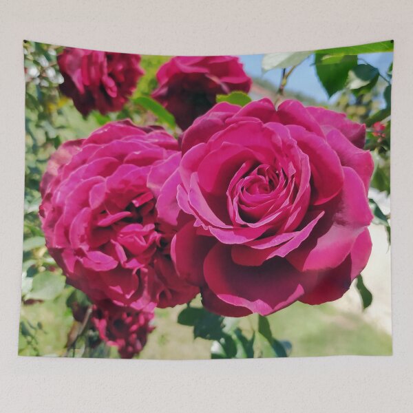 Item preview, Beautiful Roses designed and sold by PressTees.