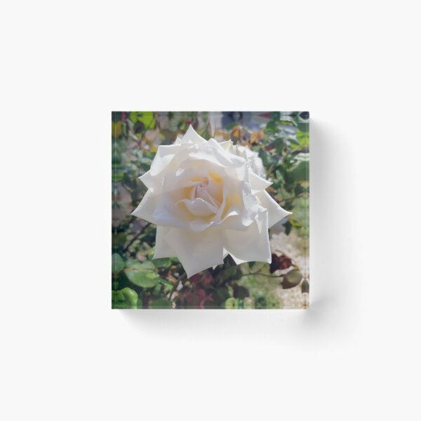 Item preview, White Rose designed and sold by PressTees.