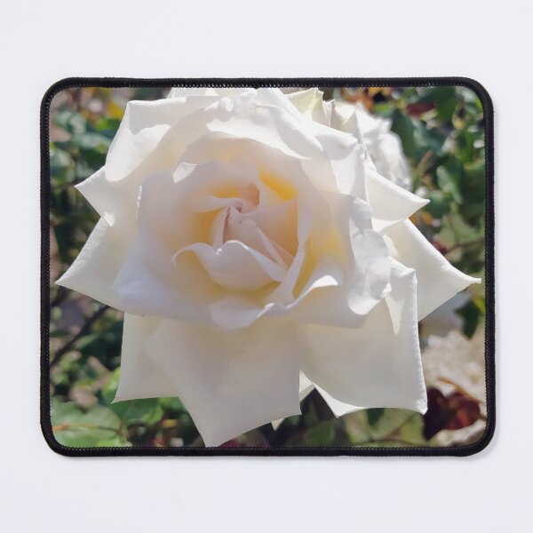 Item preview, White Rose designed and sold by PressTees.