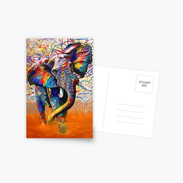 African Colours Postcard