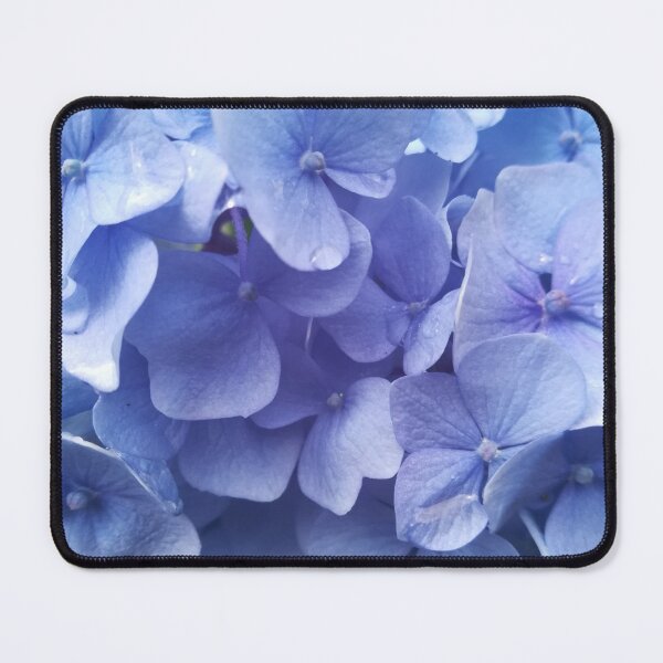 Item preview, Blue hydrangea photograph  designed and sold by esvb.