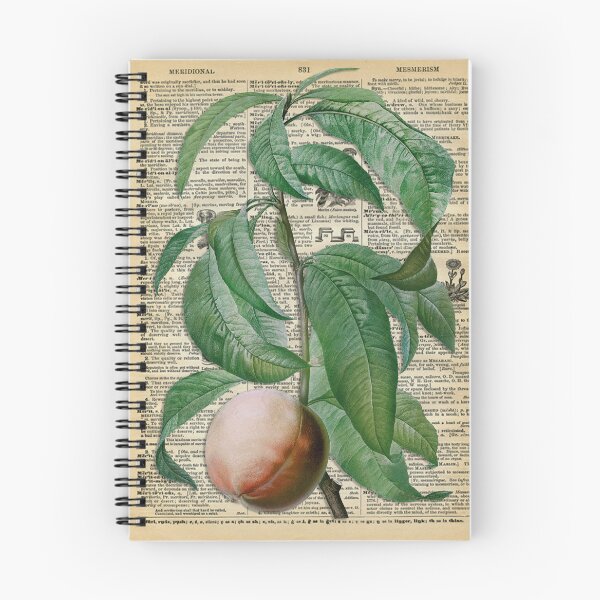 Item preview, Flor colorida vintage con arte de pared botánico de fondo de página de catálogo antiguo designed and sold by m2Graphic.