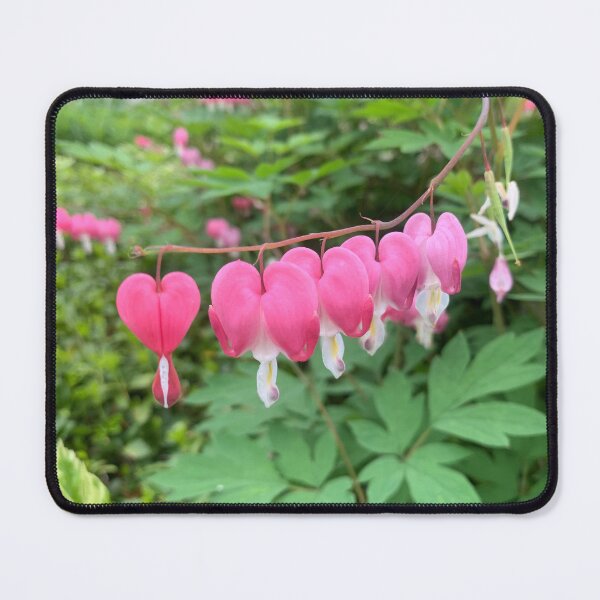 Item preview, Bleeding heart flower designed and sold by expressiveprint.