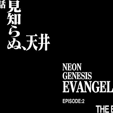 第弐話 見知らぬ、天井/EPISODE2:THE BEAST/ ヱヴァンゲリヲン新劇場版