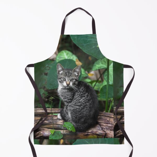 Item preview, cat on the trunk of the banana tree. designed and sold by Nino rocha fotografia.