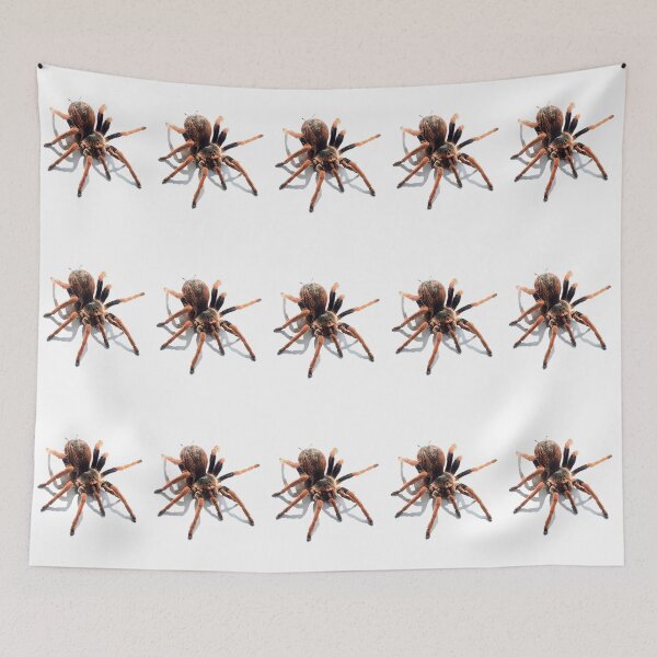 Item preview,  animal, spider, cobweb designed and sold by Viktoriia Trubiichuk.
