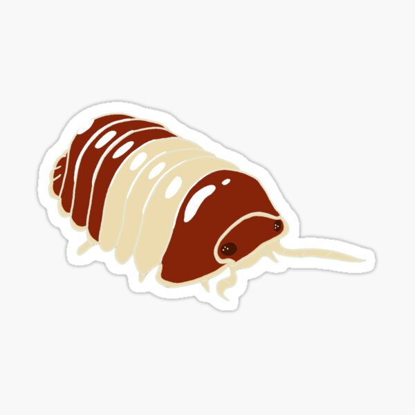 Red Panda Isopod Sticker